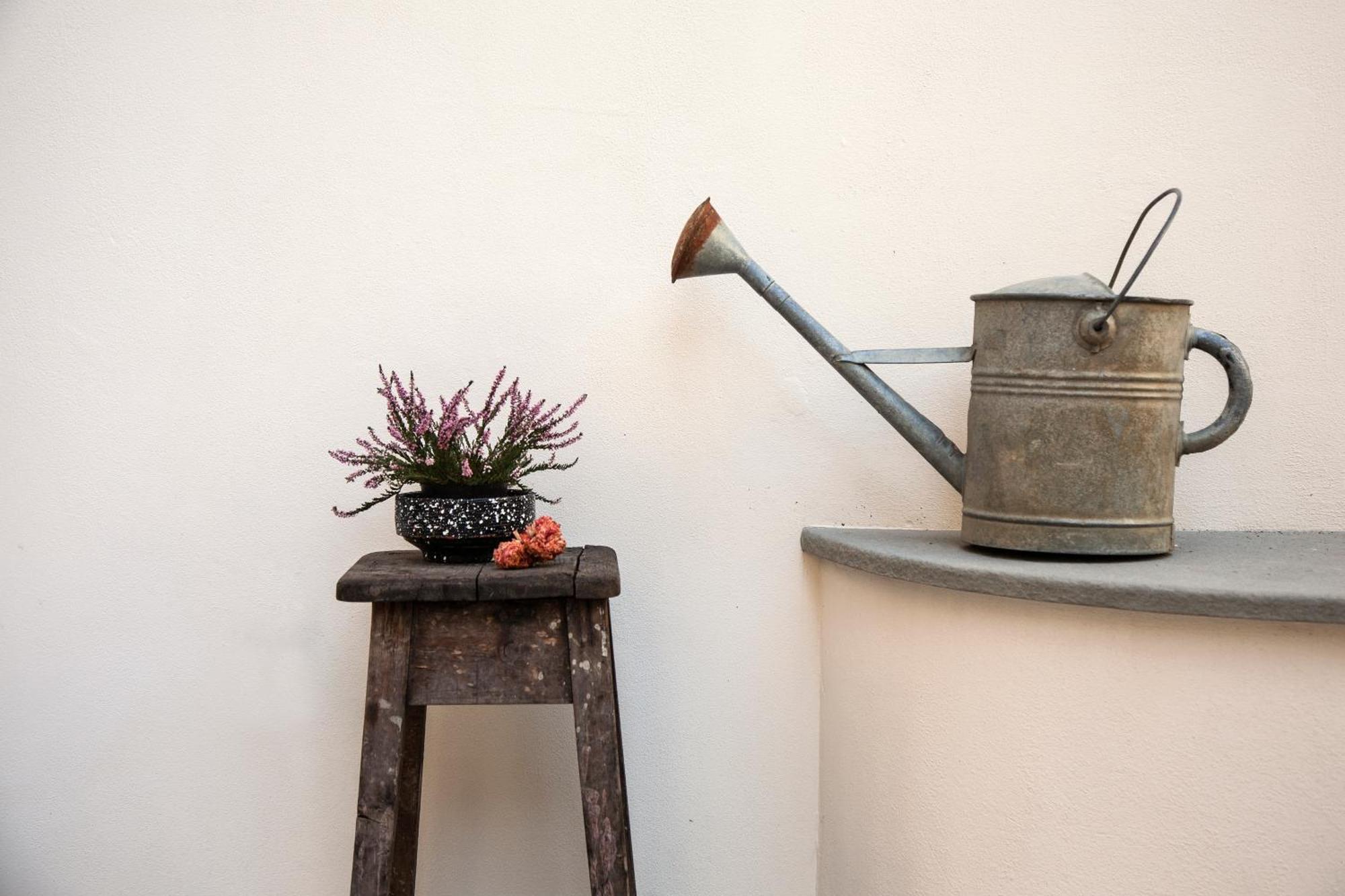 Apartamento Pietrapiana Boutique